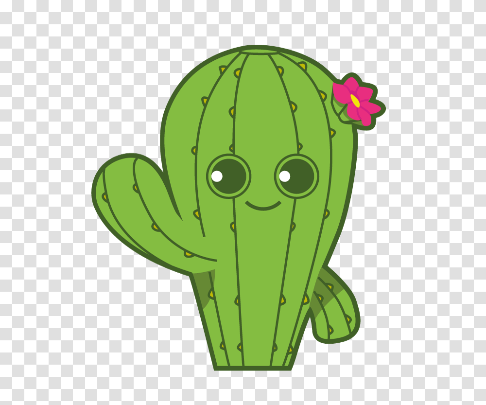 Plant, Cactus Transparent Png