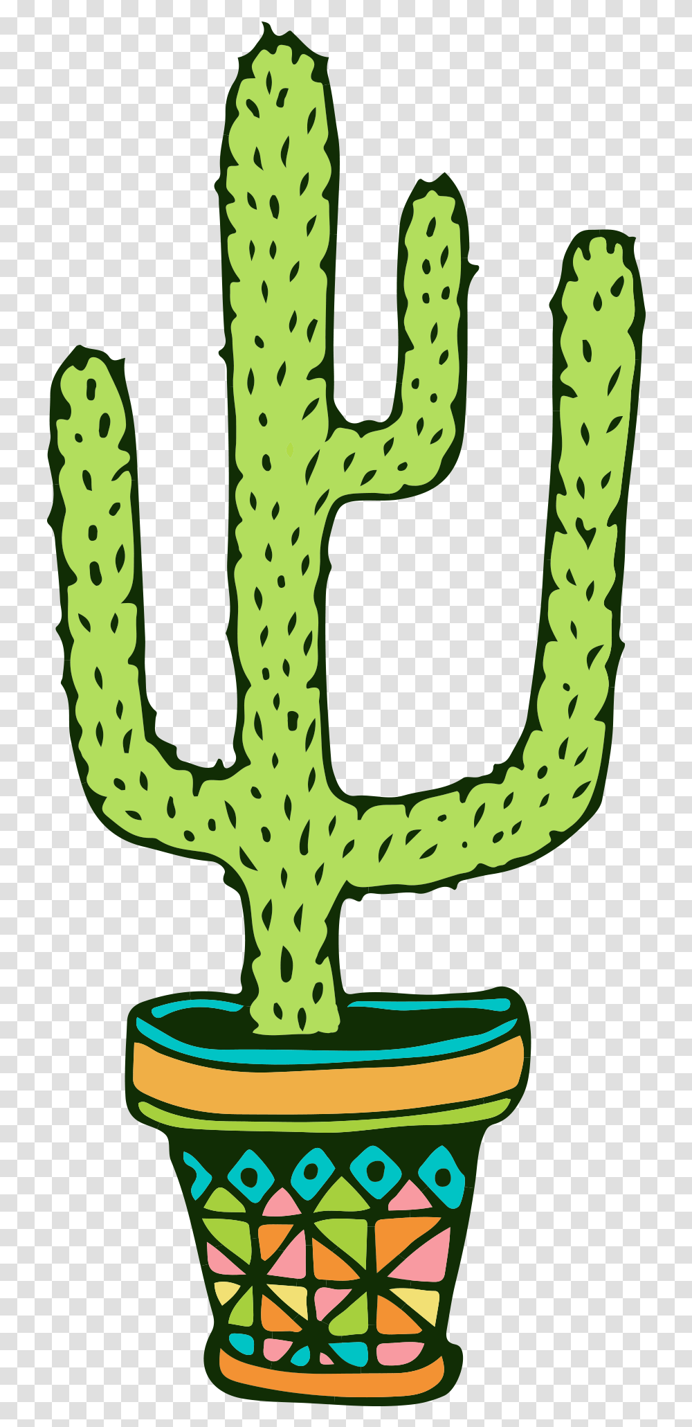 Plant, Cactus Transparent Png