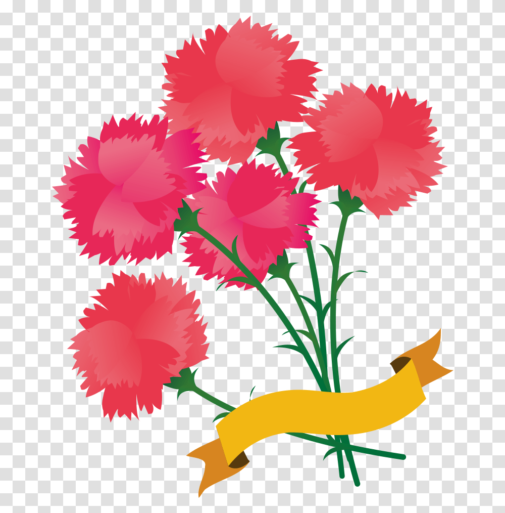 Plant, Carnation, Flower, Blossom Transparent Png
