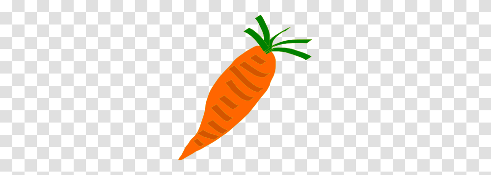 Plant, Carrot, Vegetable, Food Transparent Png