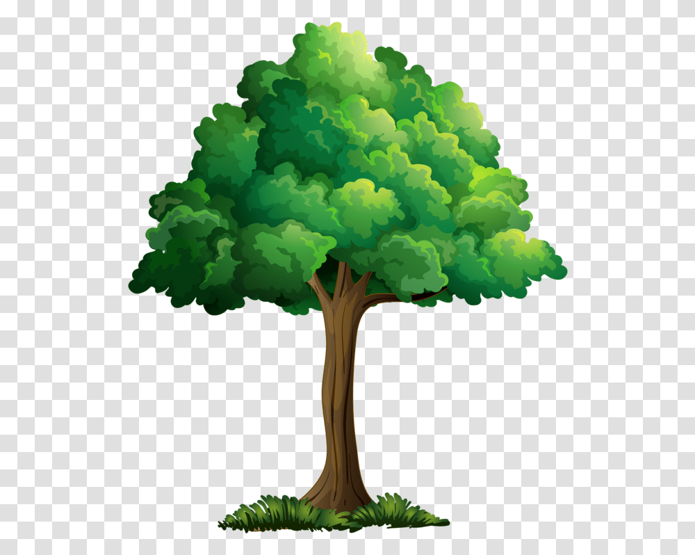 Plant Cartoon Cartoon Trees Picture Tree Realistic Tree Cartoon Drawing, Tree Trunk, Pine, Maple, Bush Transparent Png