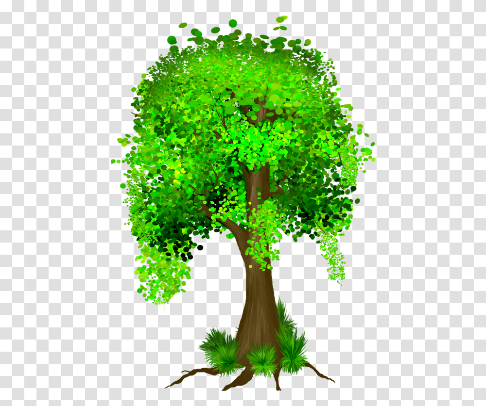 Plant Cartoon, Tree, Vegetation, Green, Broccoli Transparent Png
