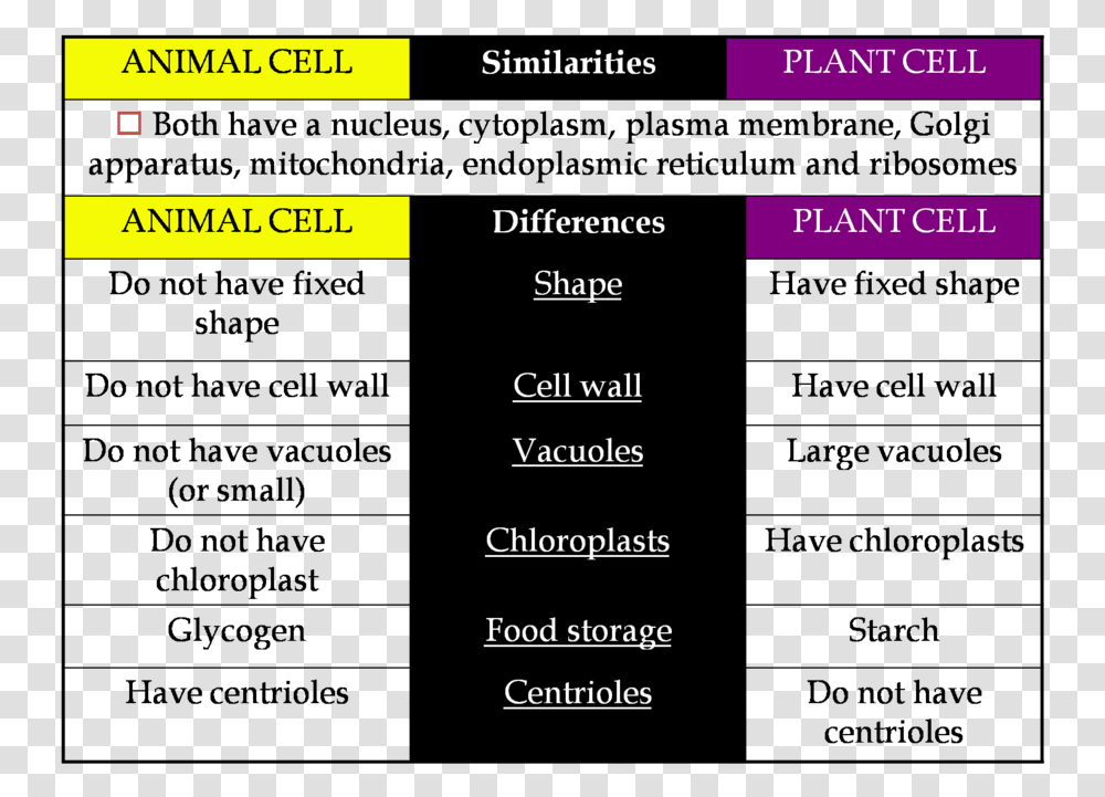Plant Cell Clipart Similarities And Differences Of Animal And Plant Cell, File, Webpage Transparent Png