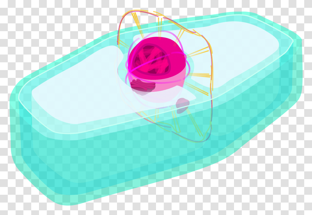 Plant Cell Prophase, Soap, Purple, Pencil Box Transparent Png