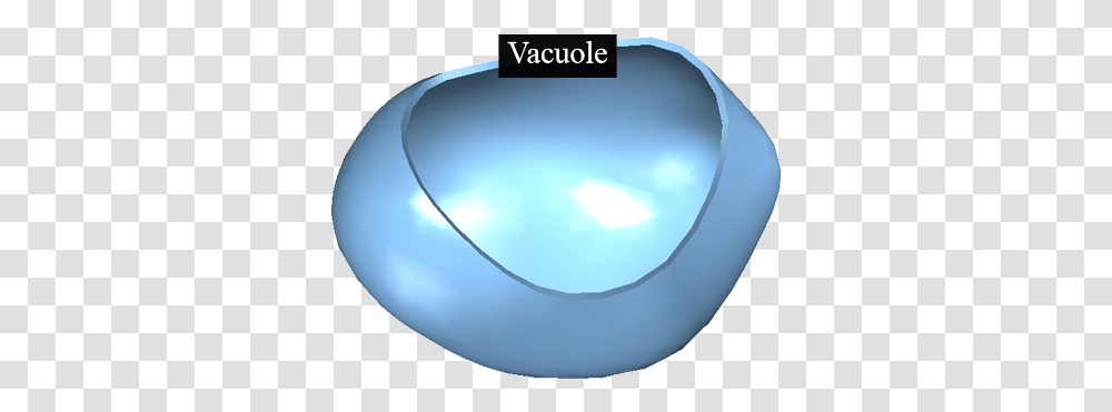 Plant Cell Vacuole, Sphere, Light, Crystal, Balloon Transparent Png