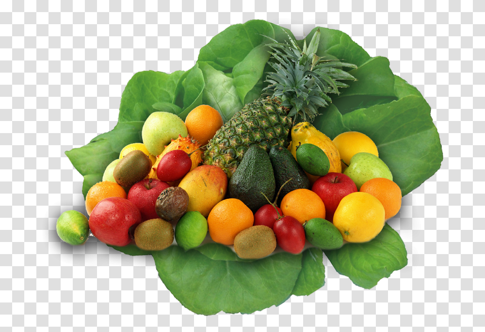 Plant, Citrus Fruit, Food, Pineapple Transparent Png