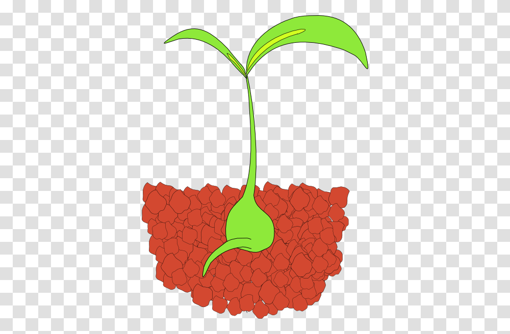 Plant Clip Art For Web, Soil, Animal, Food Transparent Png