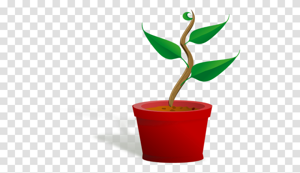 Plant Clip Art, Leaf, Sprout, Pot, Flower Transparent Png