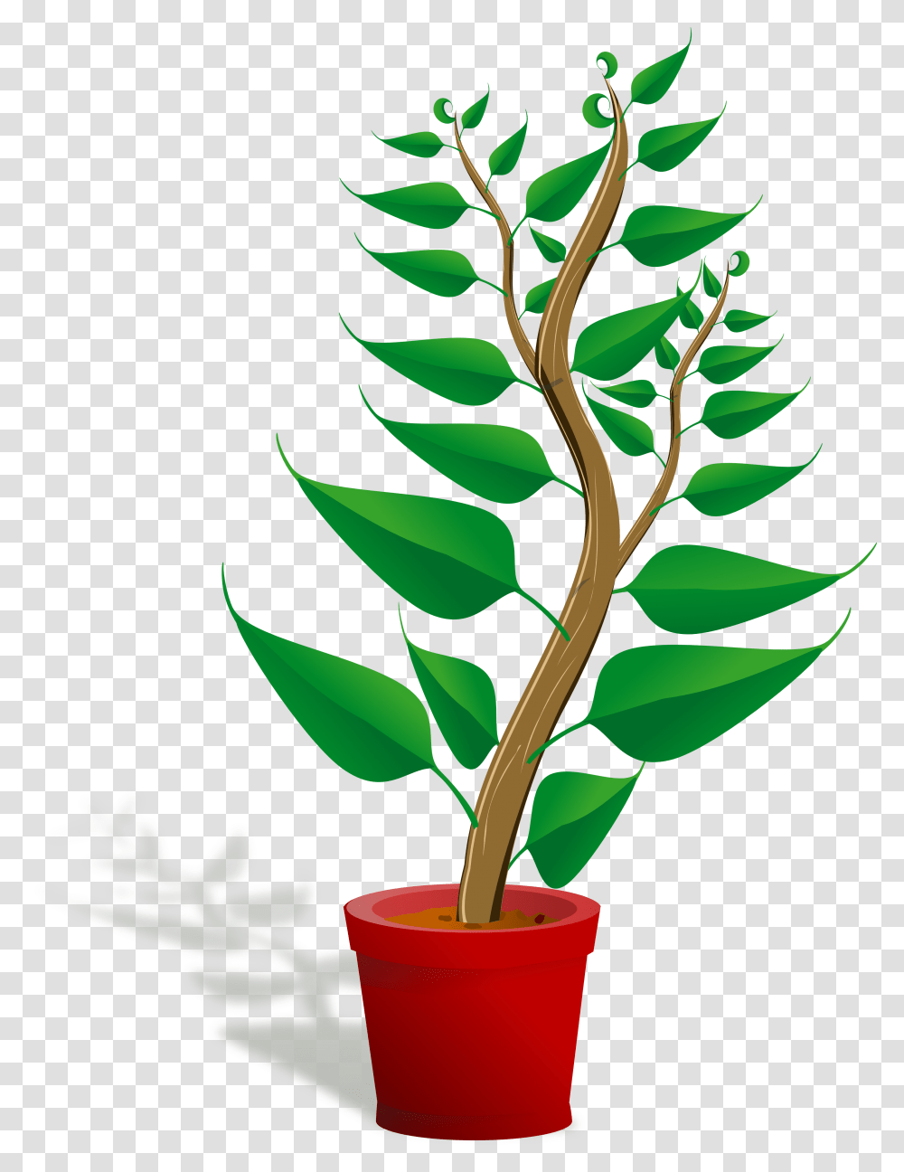 Plant Clip Art, Leaf, Tree, Green Transparent Png