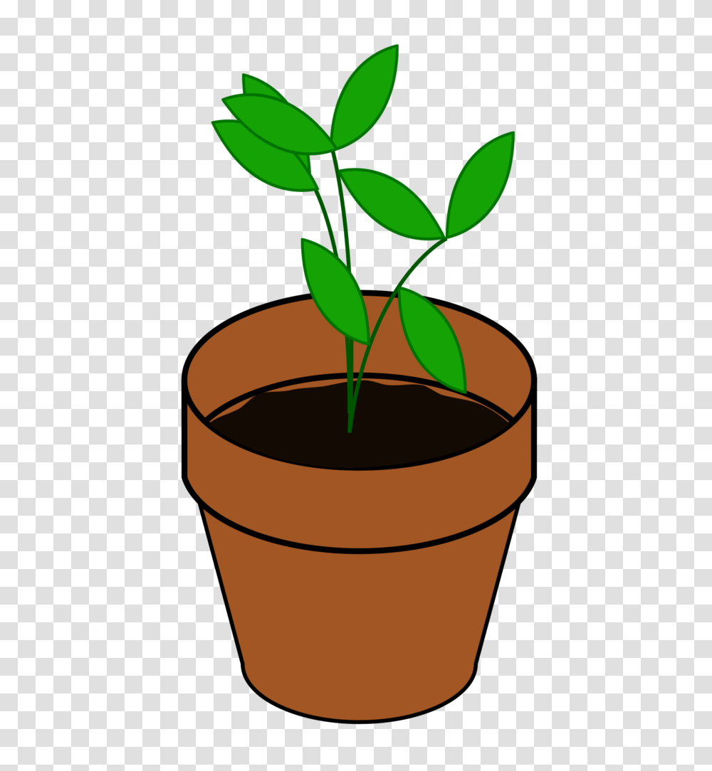Plant Clipart Clip Art Plants, Bucket, Milk, Beverage, Drink Transparent Png
