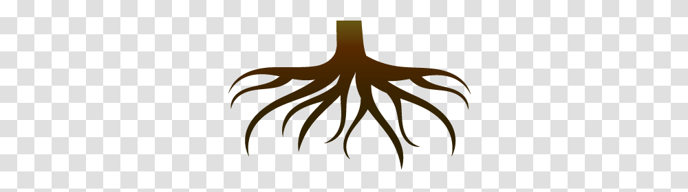 Plant Clipart Root, Tree Transparent Png