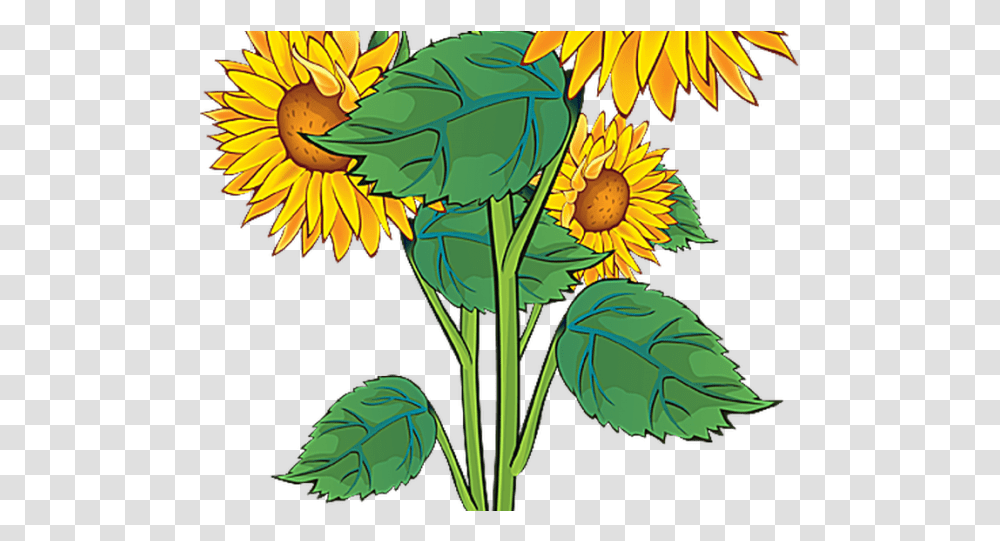 Plant Clipart Summer Sun Flowers Clip Art Download Summer Clip Art Borders Free, Blossom, Sunflower, Petal, Leaf Transparent Png