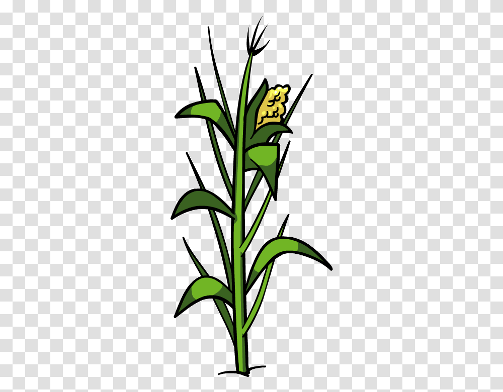 Plant Clipart To Printable Plant Clipart, Vegetable, Food, Produce, Flower Transparent Png