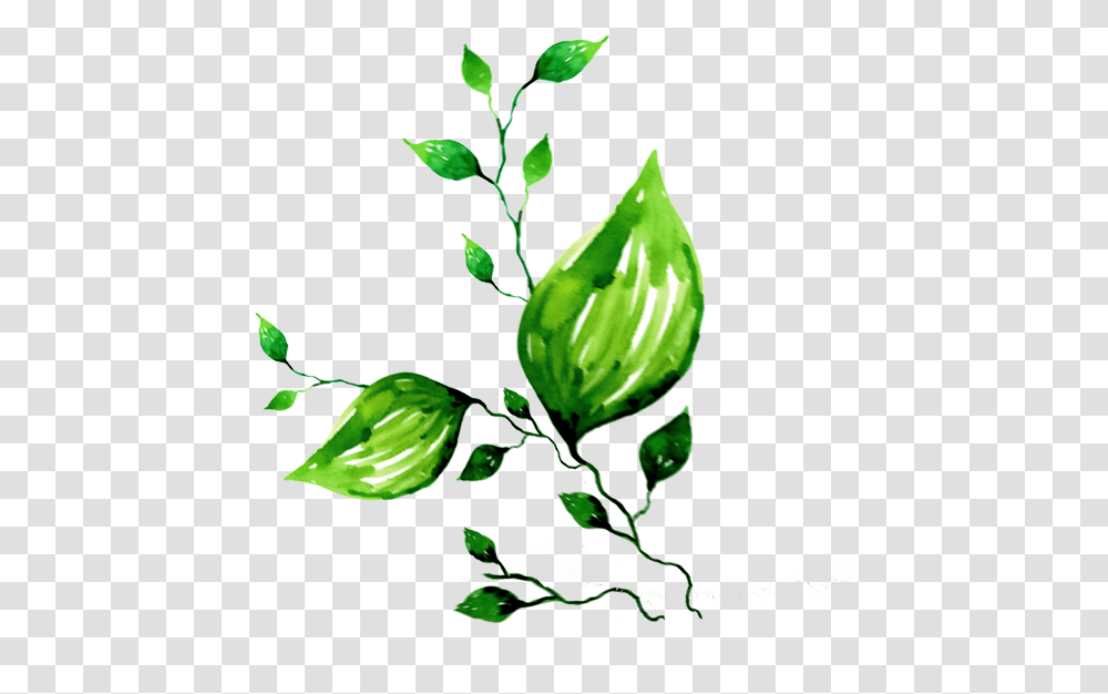 Plant Clipart Watercolor Painting Graphic Design Download, Leaf, Green, Citrus Fruit, Food Transparent Png