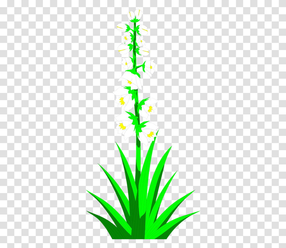 Plant Clipground Clip Art Yucca Plant Clipart, Flower, Blossom, Graphics, Tree Transparent Png