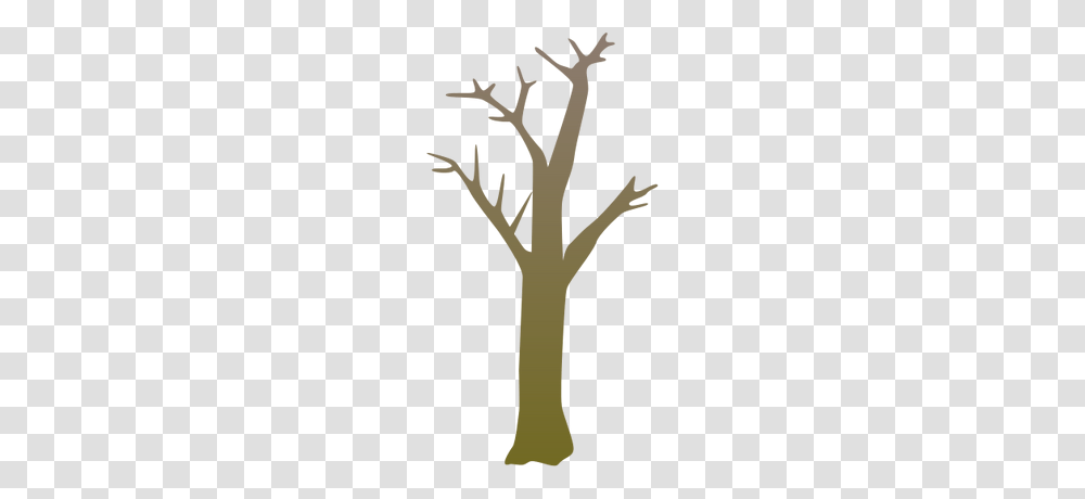 Plant, Cross, Tree Transparent Png