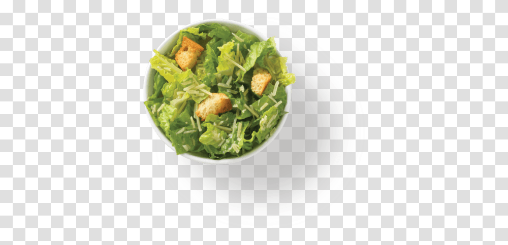 Plant, Dish, Meal, Food Transparent Png