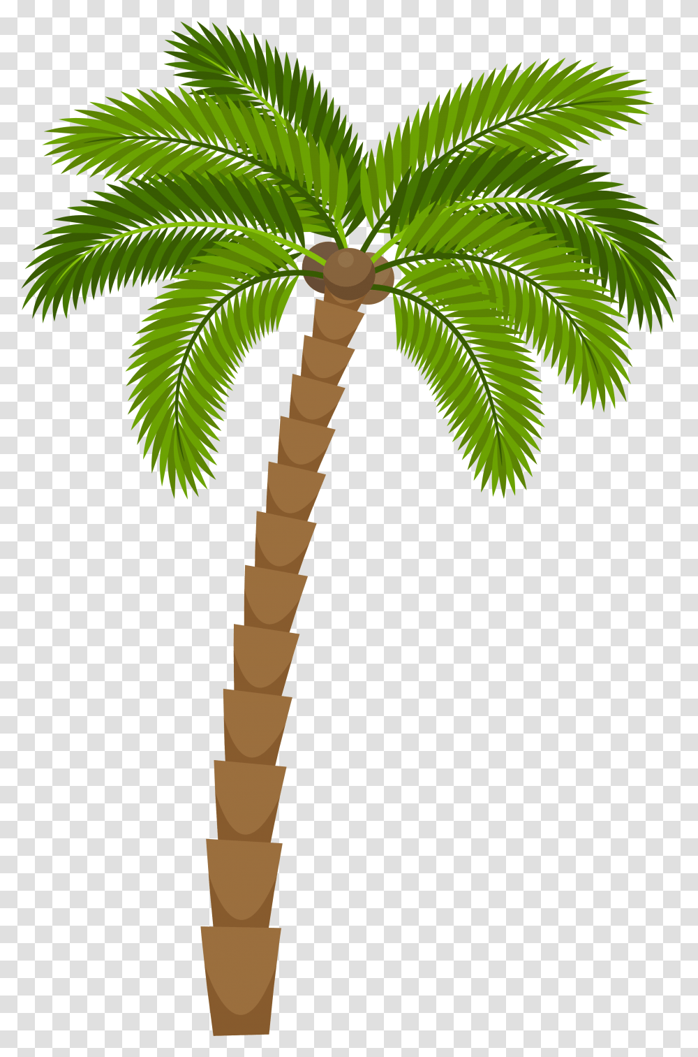 Plant Drawing 1181912 Images Pngio Cartoon Palm Tree, Arecaceae, Leaf, Green, Fir Transparent Png