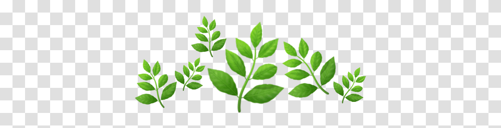 Plant Emoji Crown, Leaf, Green, Vase, Jar Transparent Png