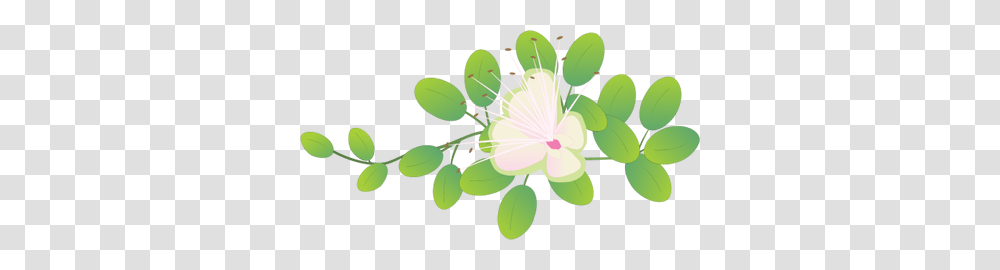 Plant, Flower, Blossom, Anther Transparent Png