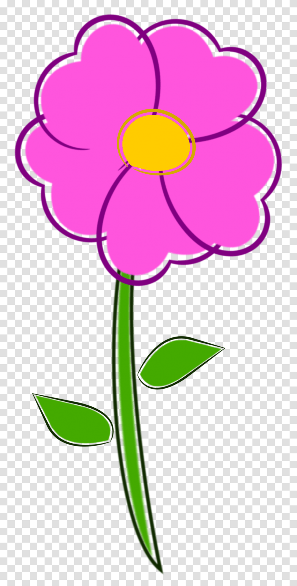 Plant, Flower, Blossom, Dahlia Transparent Png