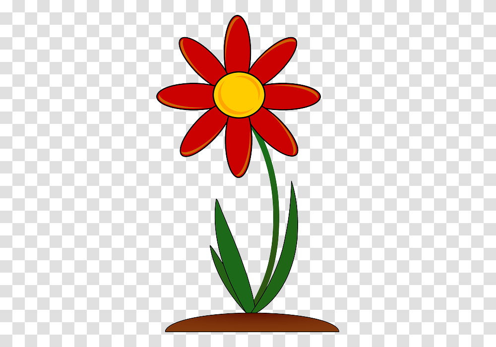 Plant, Flower, Blossom, Daisy Transparent Png