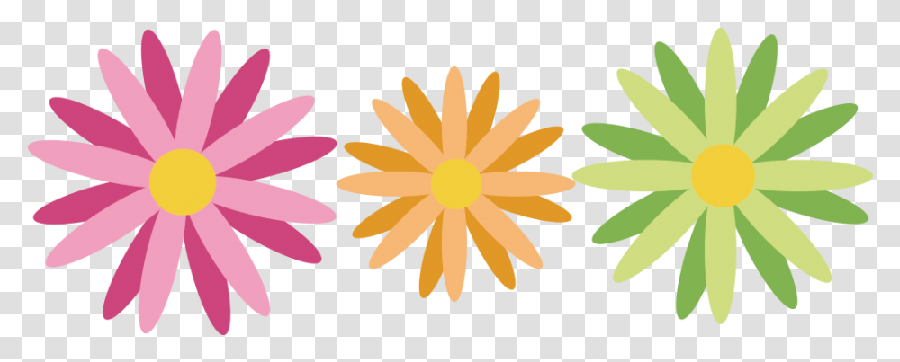 Plant, Flower, Blossom, Daisy Transparent Png