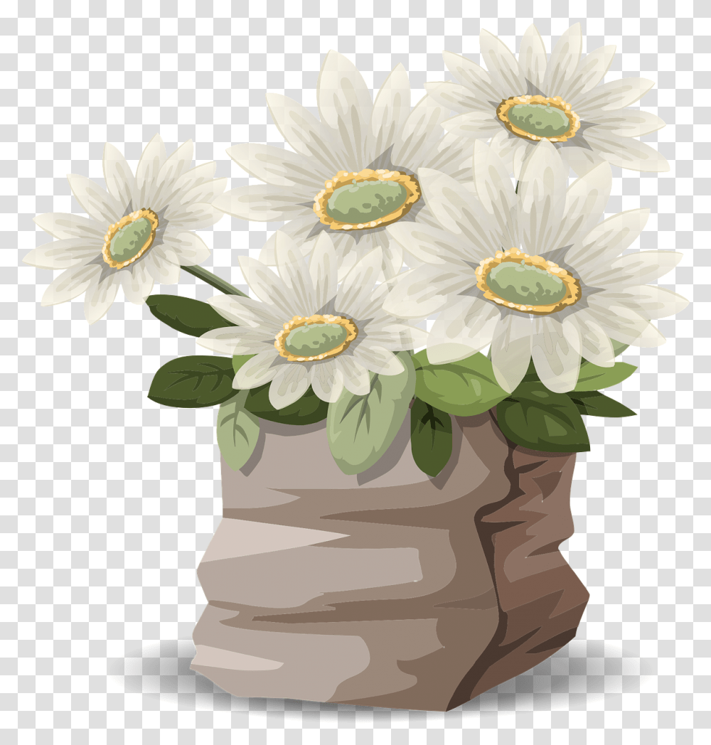 Plant, Flower, Blossom, Daisy Transparent Png