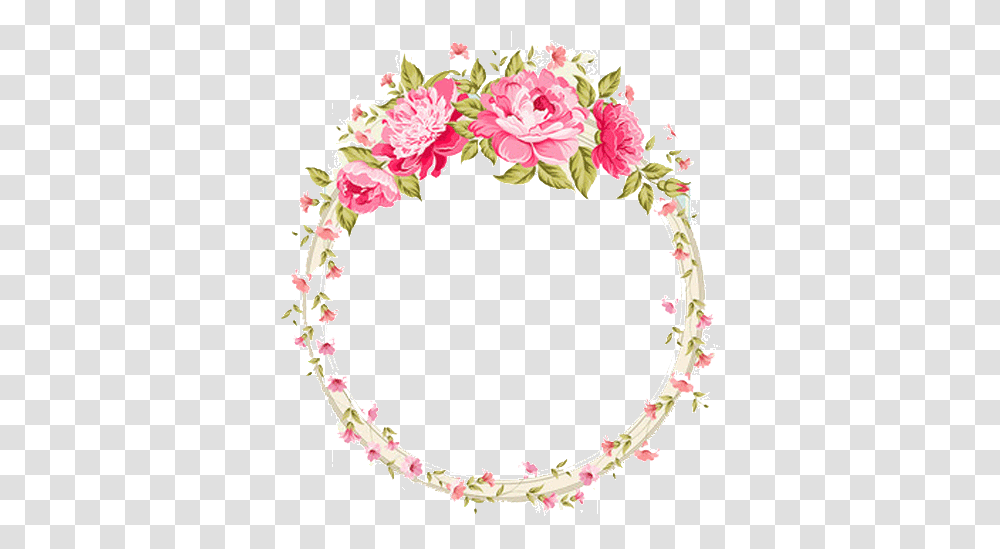 Plant, Flower, Blossom, Flower Arrangement Transparent Png