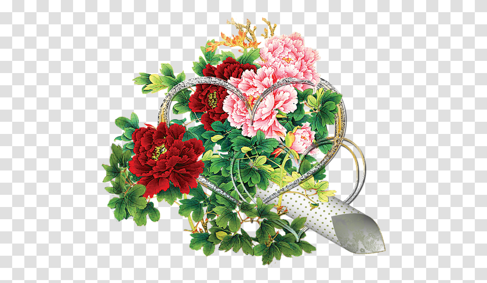 Plant, Flower, Blossom, Flower Arrangement Transparent Png