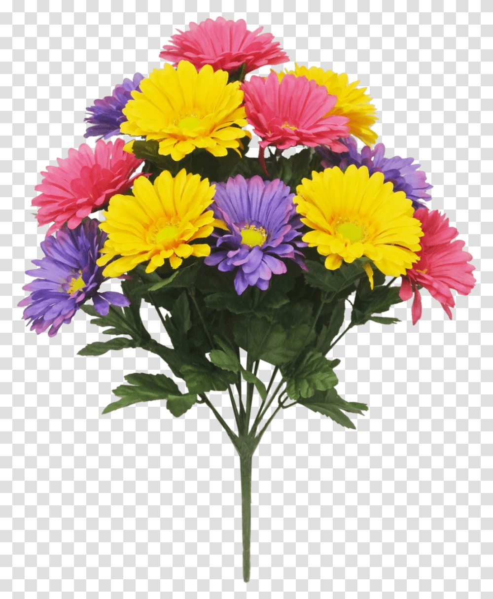 Plant, Flower, Blossom, Flower Arrangement Transparent Png