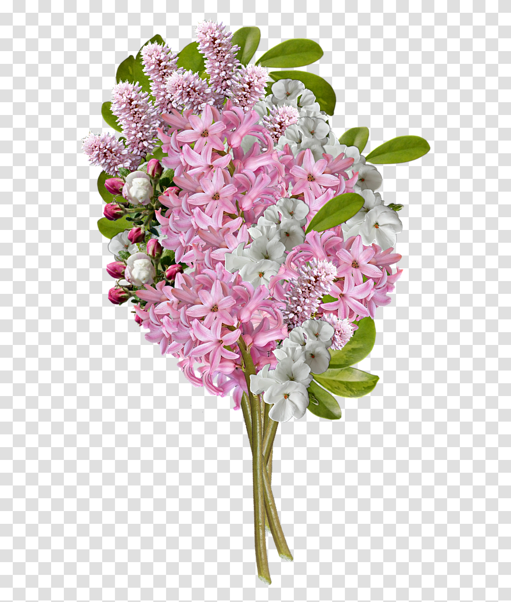 Plant, Flower, Blossom, Flower Bouquet Transparent Png