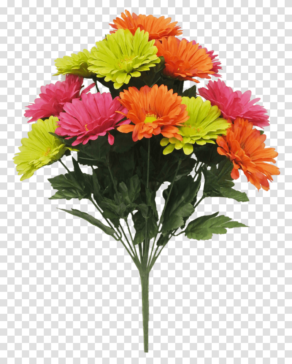 Plant, Flower, Blossom, Flower Bouquet Transparent Png