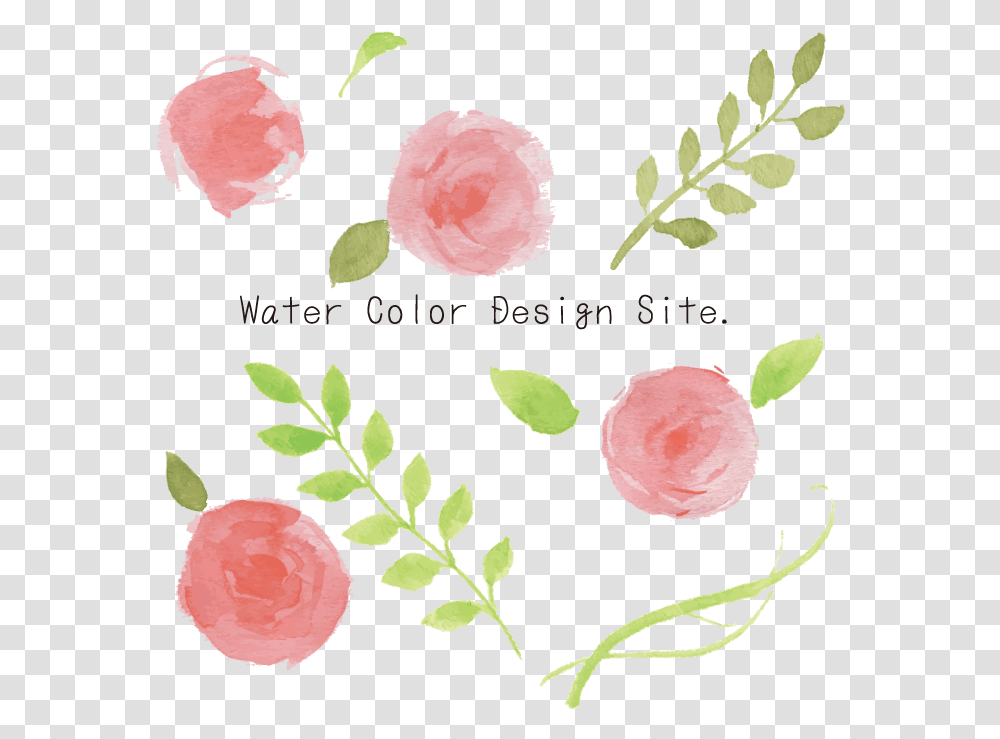 Plant, Flower, Blossom, Fruit Transparent Png