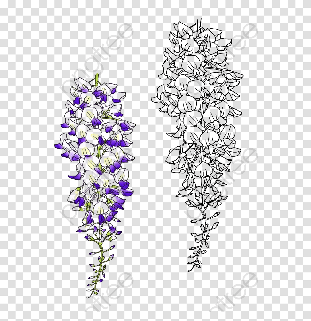 Plant, Flower, Blossom, Iris Transparent Png
