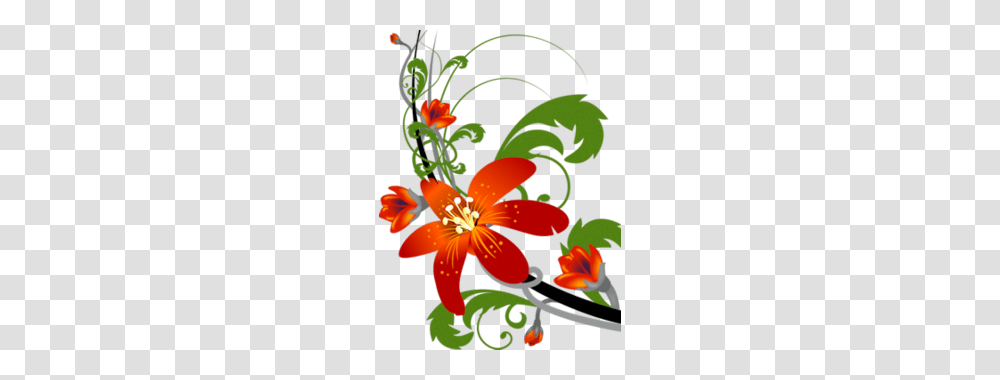 Plant, Flower, Blossom, Lily Transparent Png