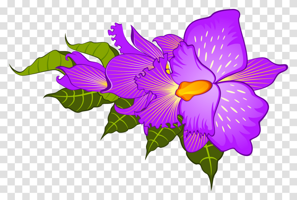 Plant, Flower, Blossom, Petal Transparent Png