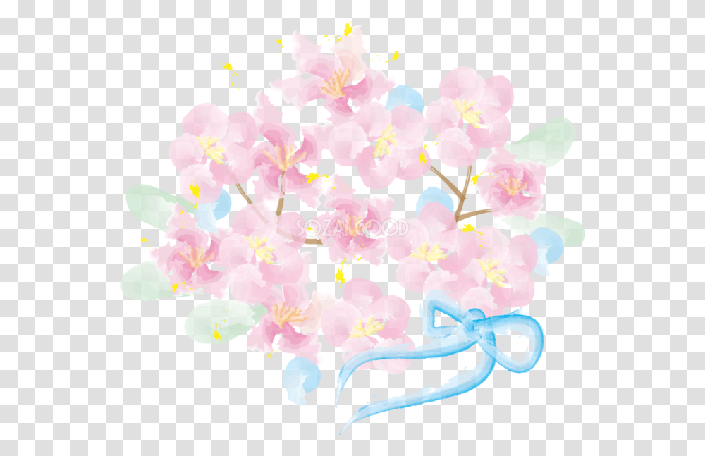 Plant, Flower, Blossom, Petal Transparent Png