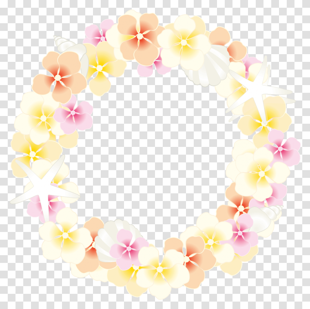 Plant, Flower, Blossom, Petal Transparent Png