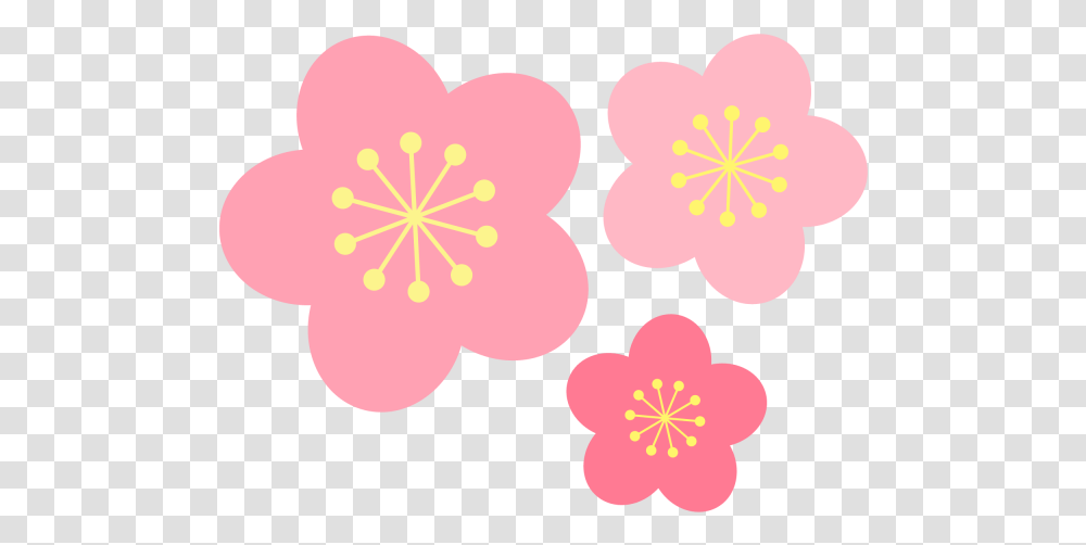 Plant, Flower, Blossom, Petal Transparent Png