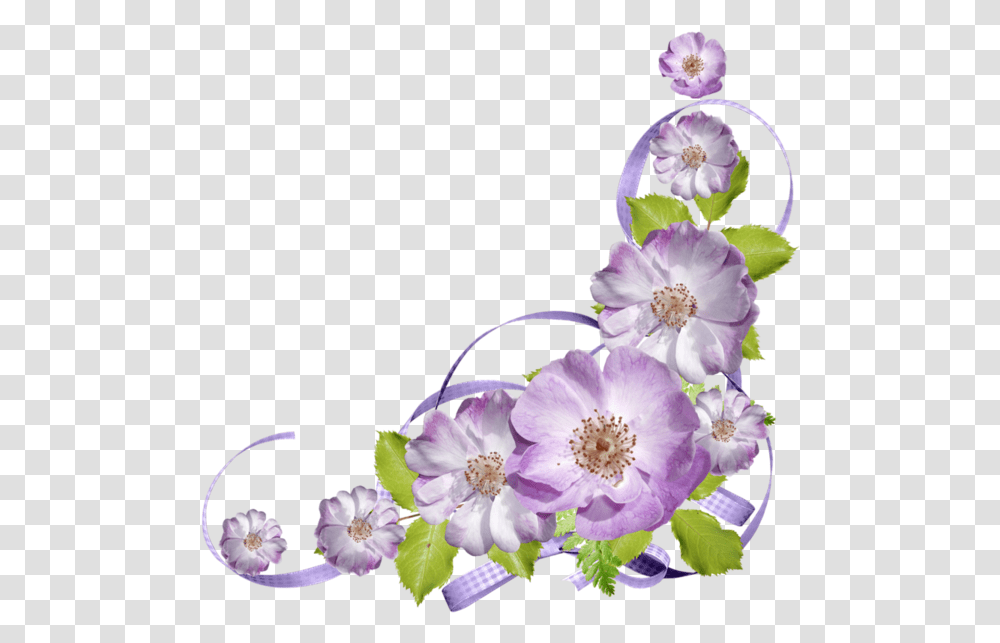 Plant, Flower, Blossom, Pollen Transparent Png