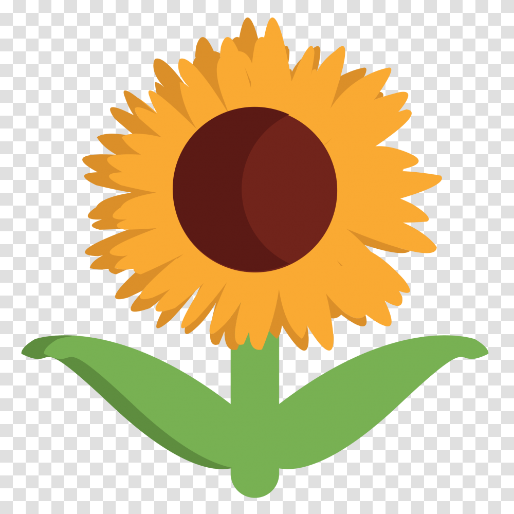 Plant, Flower, Blossom, Sunflower Transparent Png