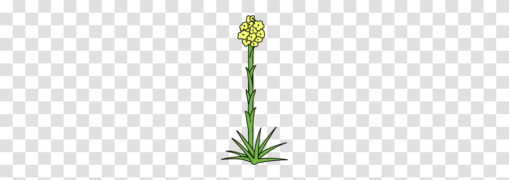 Plant Flower Clip Art For Web, Blossom, Bamboo Transparent Png