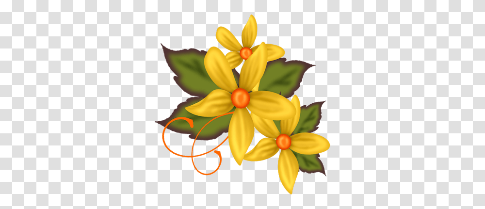 Plant, Flower, Daffodil, Daisy Transparent Png