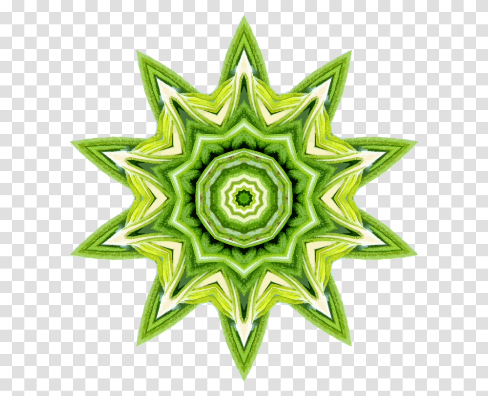 Plant Flower Leaf Clipart Kaleidoscope Fruit, Pattern, Ornament, Fractal, Symbol Transparent Png