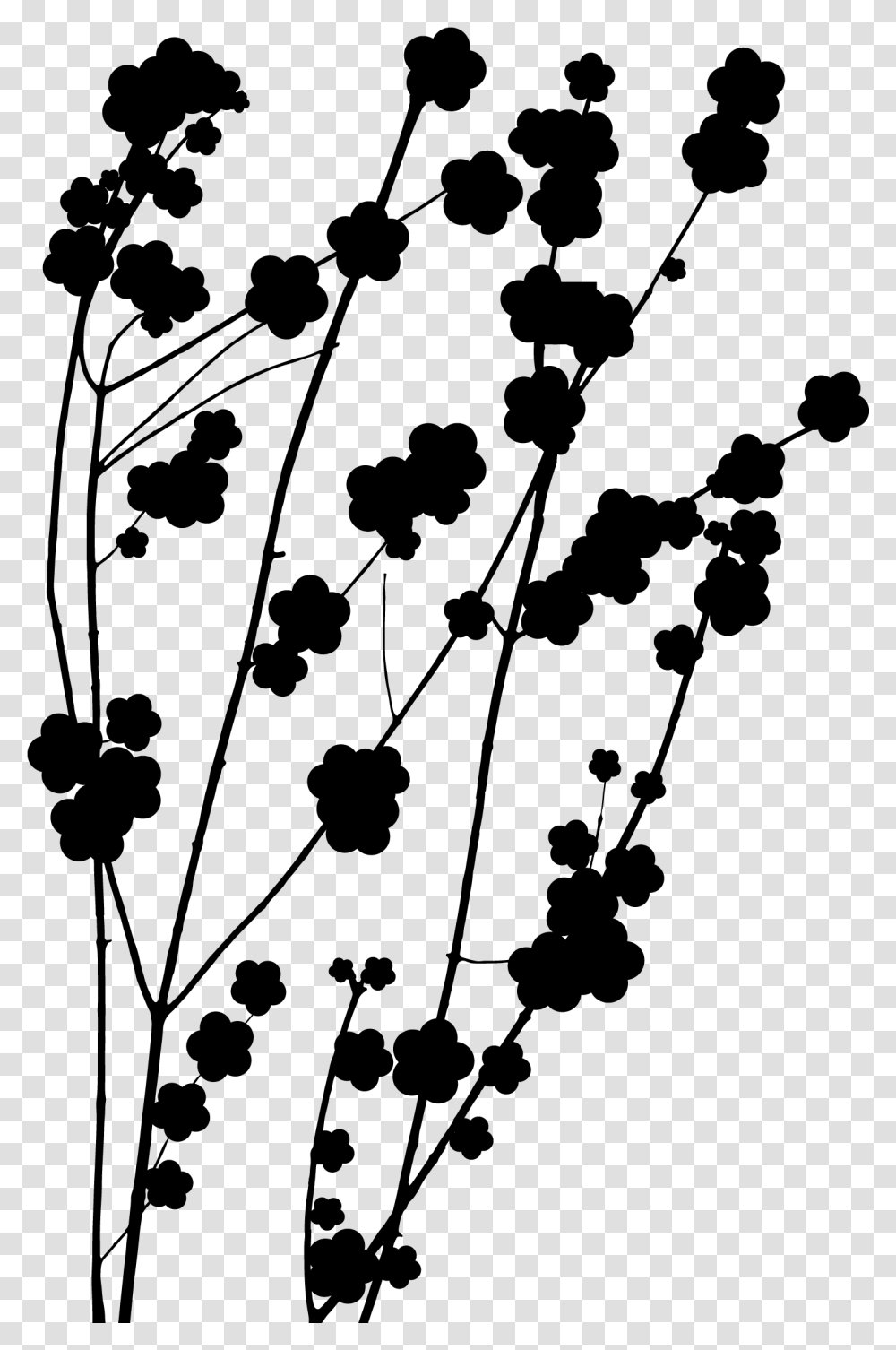 Plant Flower Leaf Pattern Stem Twig Clipart Silhouette, Gray, World Of Warcraft Transparent Png