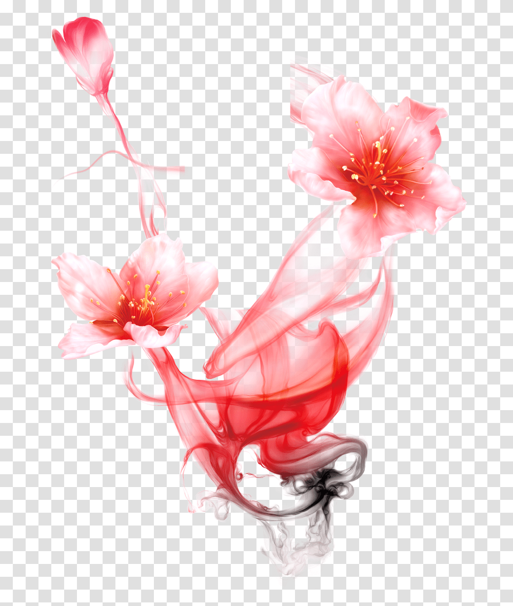 Plant, Flower, Petal, Anther Transparent Png