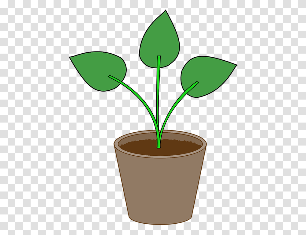Plant Flowerpot Pot Gardening Leaf Houseplant Gambar Pot Bunga, Cup, Tin Transparent Png