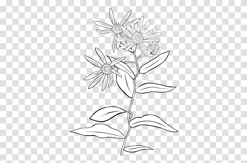 Plant Flowers Shrub Clip Art Vector Clip Art Outline Picture Of Shrubs, Blossom, Floral Design, Pattern, Graphics Transparent Png