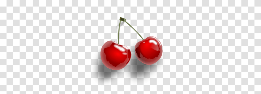 Plant, Fruit, Food, Cherry Transparent Png